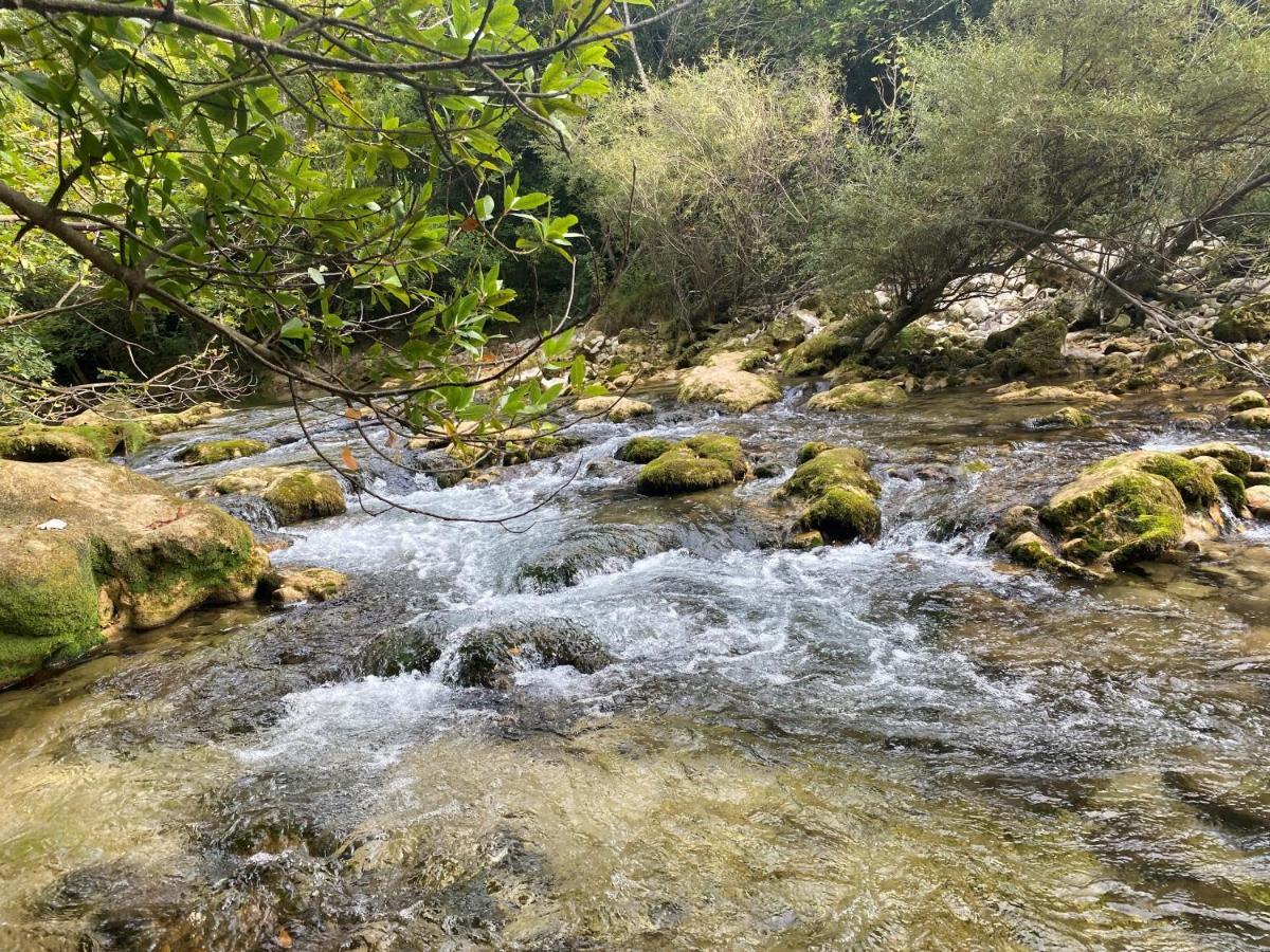 Les De Saint Cassien 2 * Montauroux